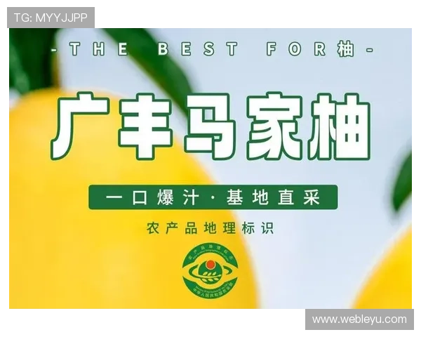 乐鱼官网全网最新活动资讯,助您轻松掌握乐鱼官网丰富的优惠与福利方案